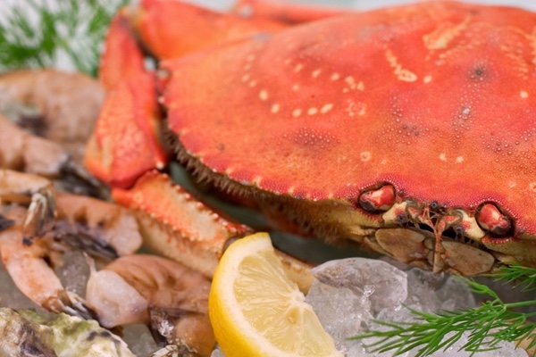 seafood crab shrimp