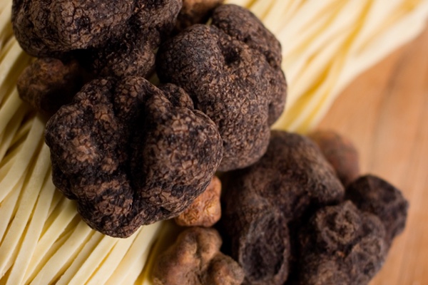 tagliatelle with black truffles